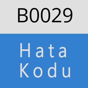 B0029 hatasi