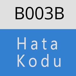 B003B hatasi