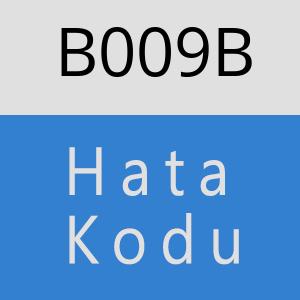 B009B hatasi