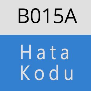 B015A hatasi