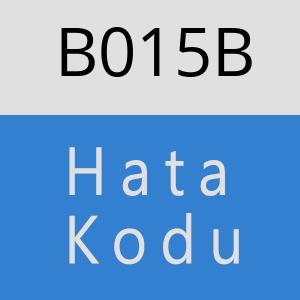 B015B hatasi