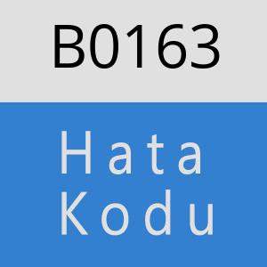 B0163 hatasi