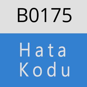 B0175 hatasi