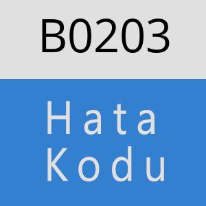 B0203 hatasi