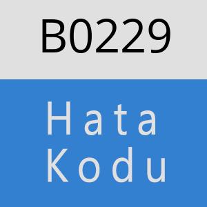 B0229 hatasi