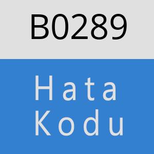 B0289 hatasi