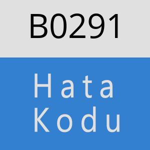 B0291 hatasi