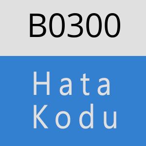 B0300 hatasi