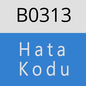 B0313 hatasi