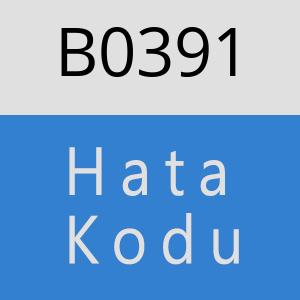 B0391 hatasi