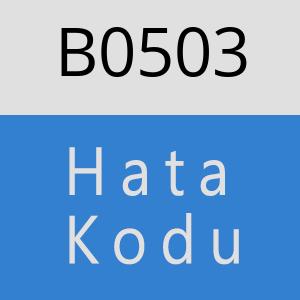 B0503 hatasi