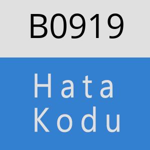 B0919 hatasi