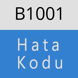 B1001 hatasi