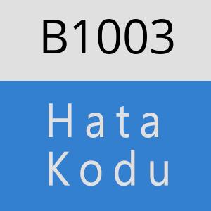 B1003 hatasi