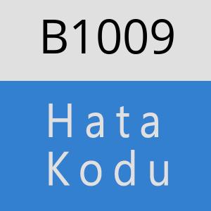 B1009 hatasi