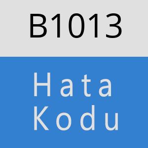 B1013 hatasi