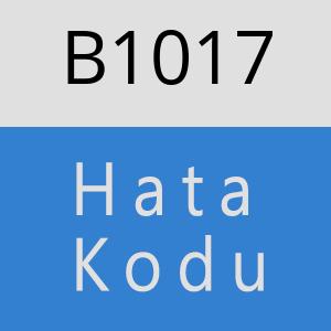 B1017 hatasi