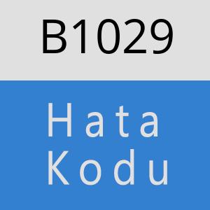 B1029 hatasi