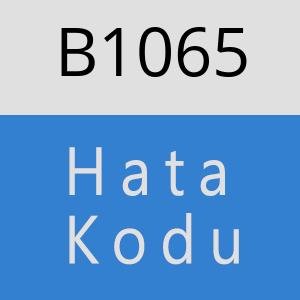 B1065 hatasi