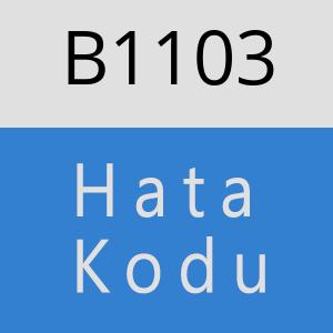 B1103 hatasi