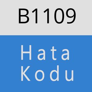 B1109 hatasi