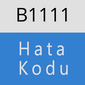 B1111 hatasi