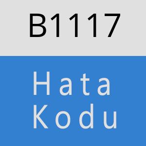 B1117 hatasi