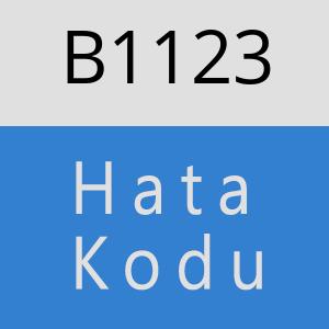 B1123 hatasi