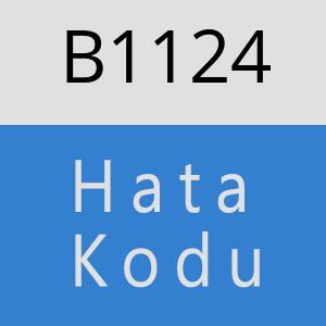 B1124 hatasi