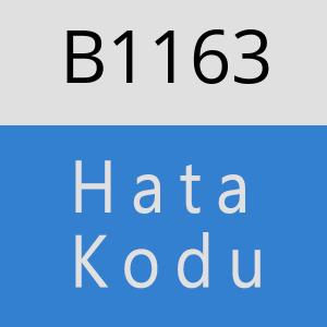 B1163 hatasi