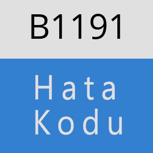 B1191 hatasi