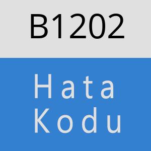 B1202 hatasi