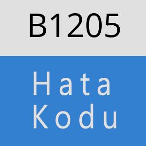 B1205 hatasi
