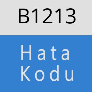 B1213 hatasi