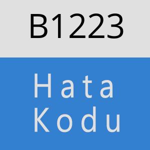 B1223 hatasi