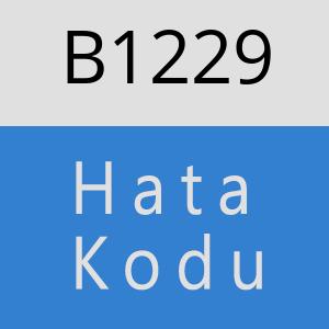 B1229 hatasi