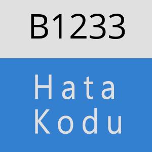 B1233 hatasi