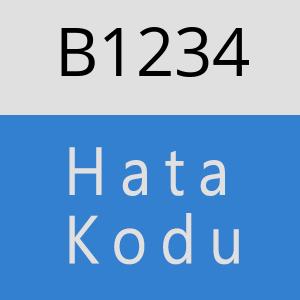 B1234 hatasi