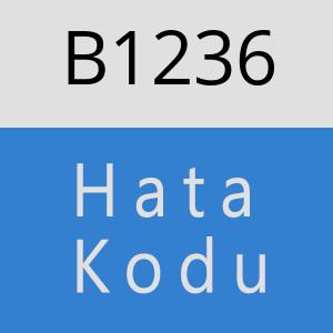 B1236 hatasi