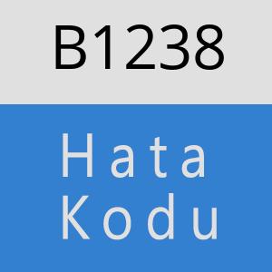 B1238 hatasi