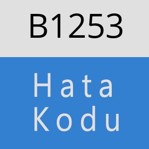 B1253 hatasi