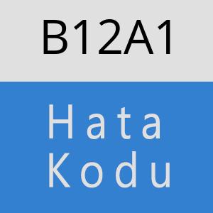 B12A1 hatasi