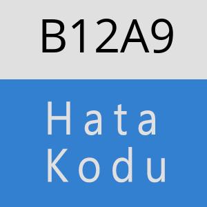 B12A9 hatasi