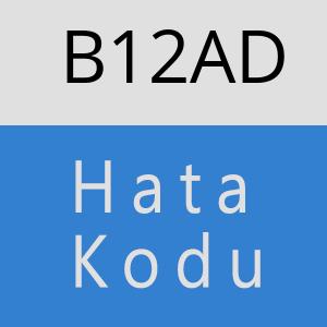 B12AD hatasi