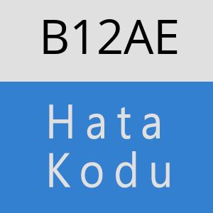 B12AE hatasi