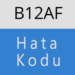 B12AF hatasi