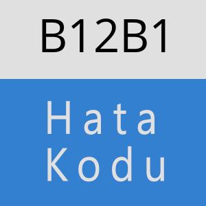 B12B1 hatasi