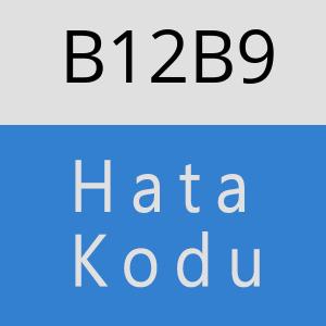 B12B9 hatasi