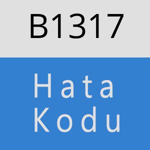 B1317 hatasi