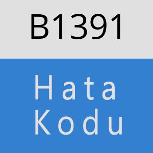 B1391 hatasi